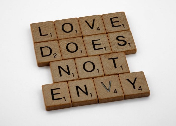 idioms for envy